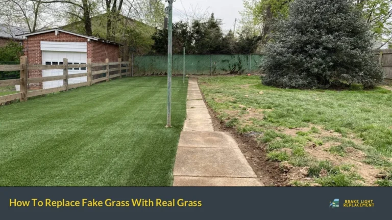 How To Replace Fake Grass With Real Grass